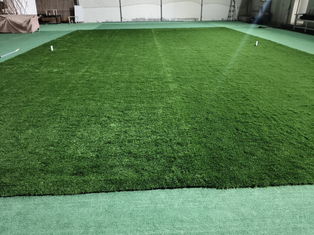 we Have green carpet SpC Sofa - 4