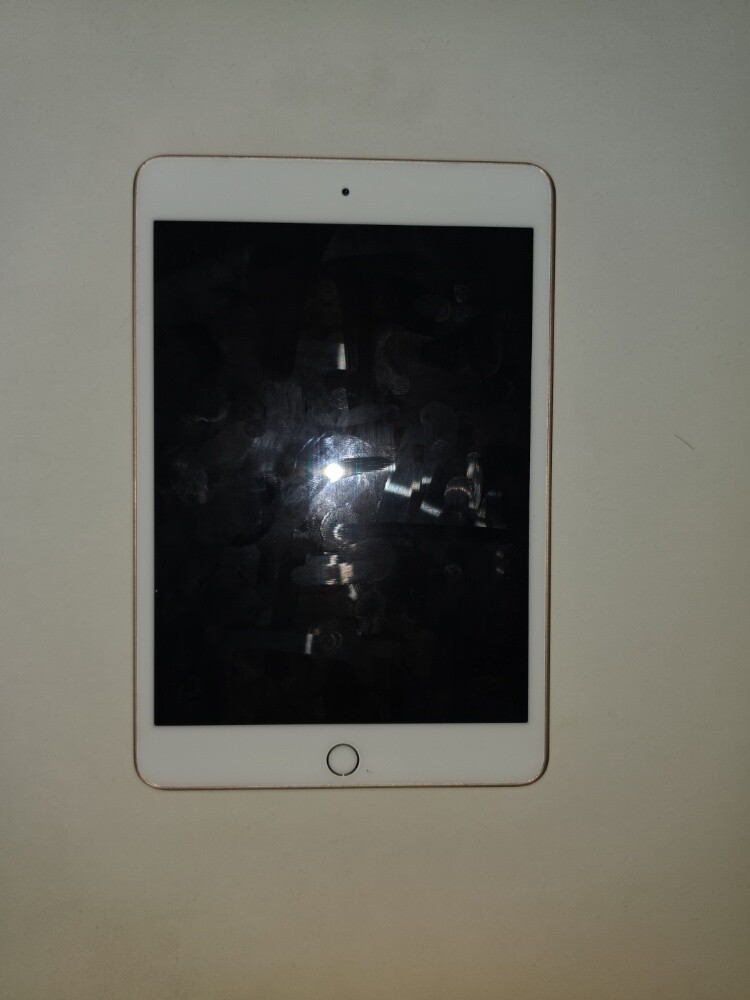 IPad mini 5 (256) - 1