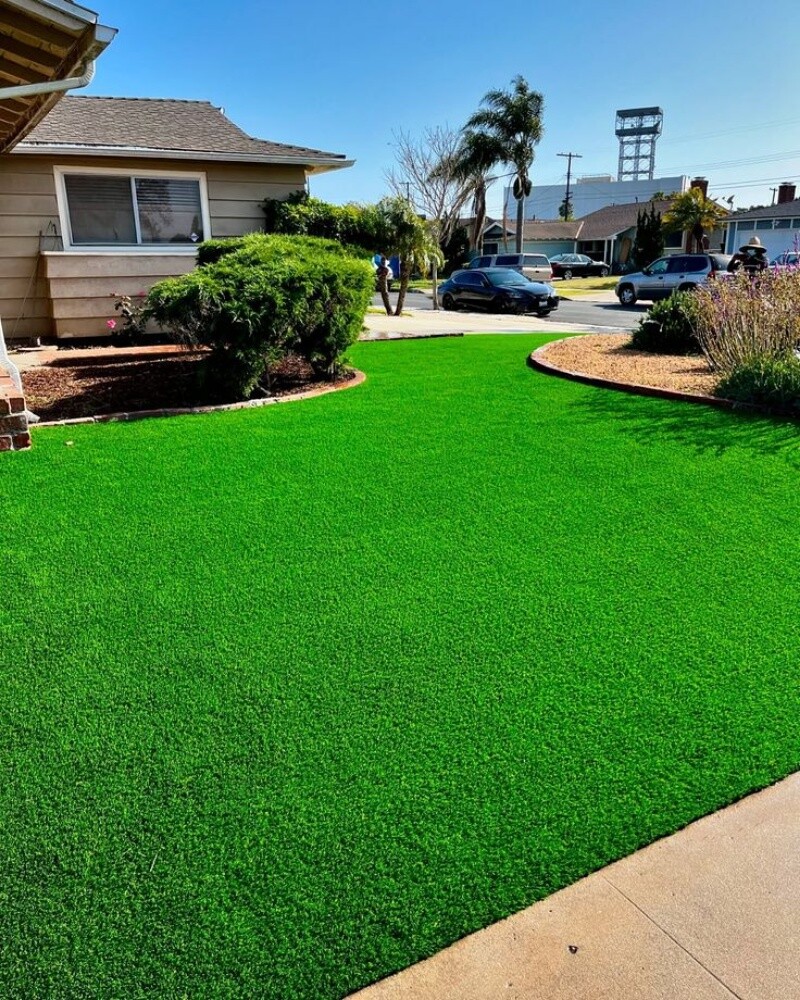 Artificial Grass - 1