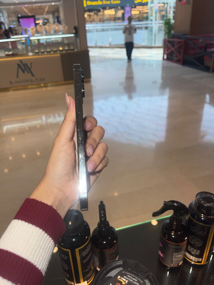 12 برو ماكس - 4
