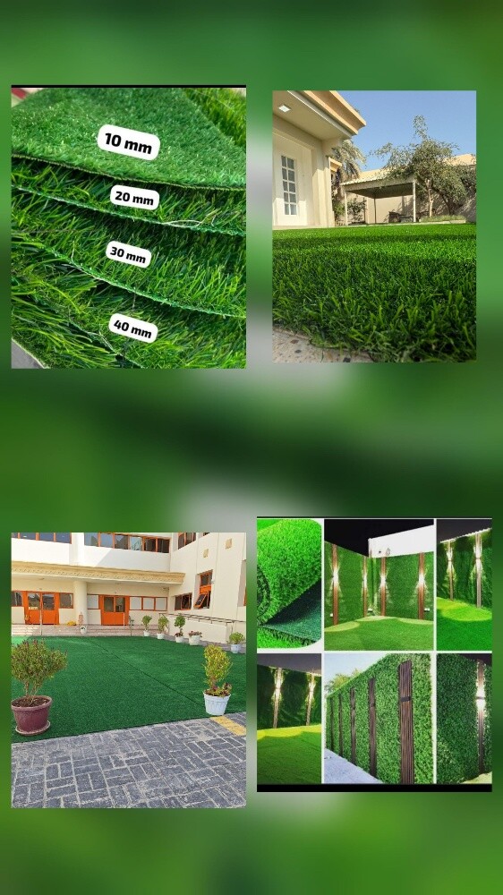 سجاد، ستائر، أريكة باركيا - 5
