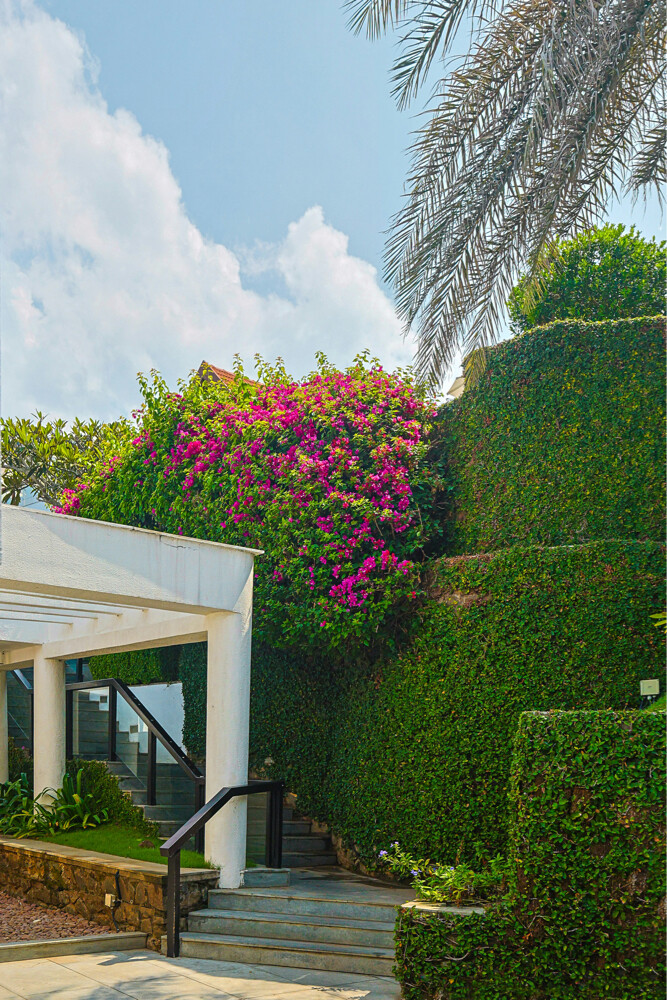 Gardeneing services - 9