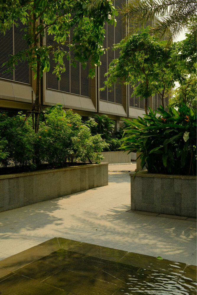Gardeneing services - 3
