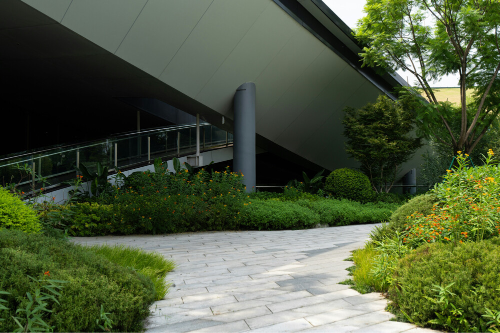 Gardeneing services - 11
