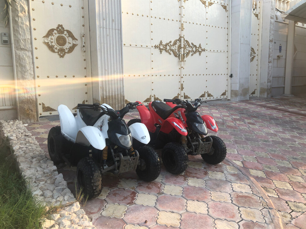 Cobra ATV 50cc engine - 4