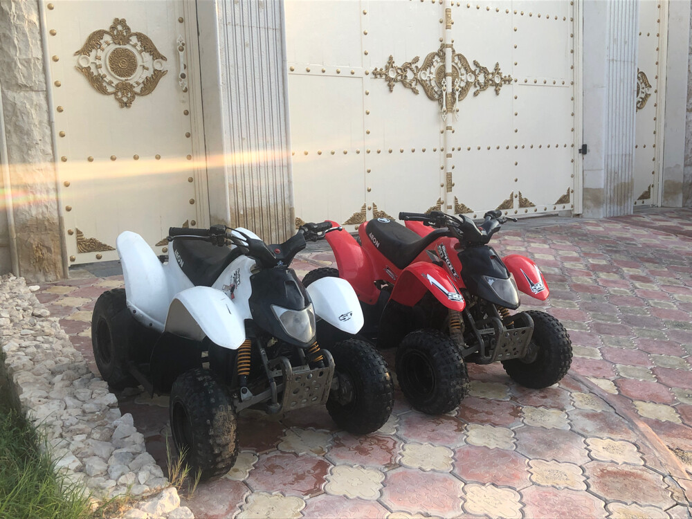 Cobra ATV 50cc engine - 7