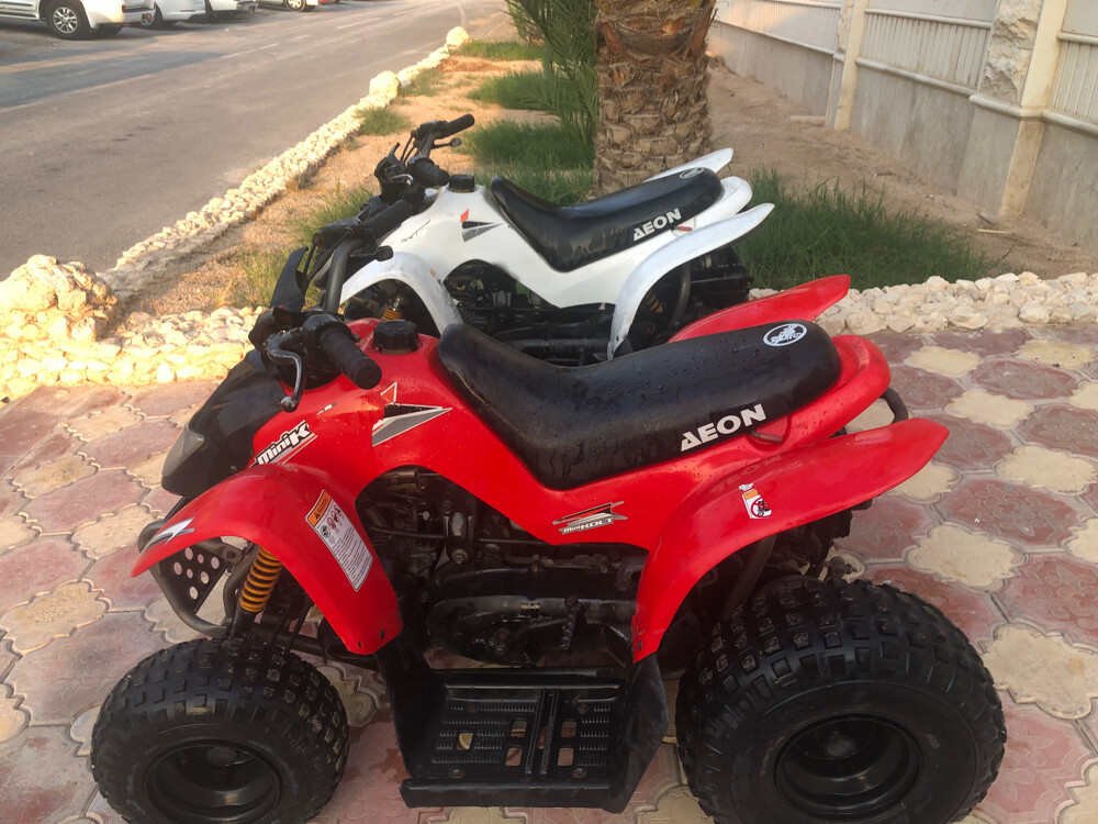 Cobra ATV 50cc engine - 6