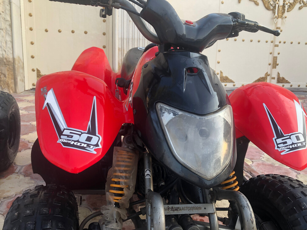 Cobra ATV 50cc engine - 2