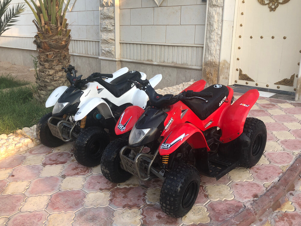 Cobra ATV 50cc engine - 3