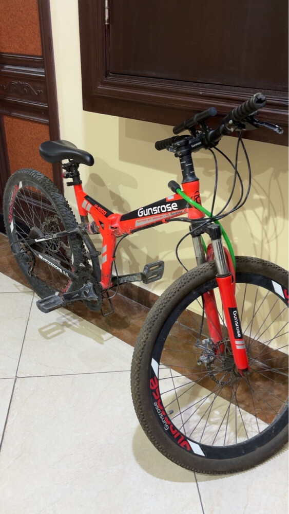 GUNROSE BIKE - 1
