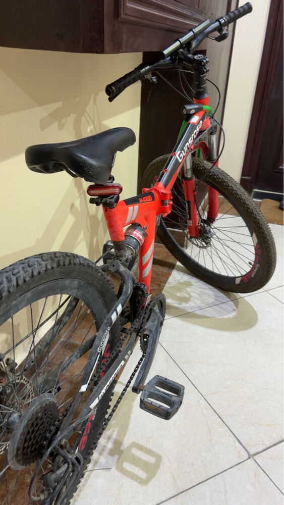 GUNROSE BIKE - 2