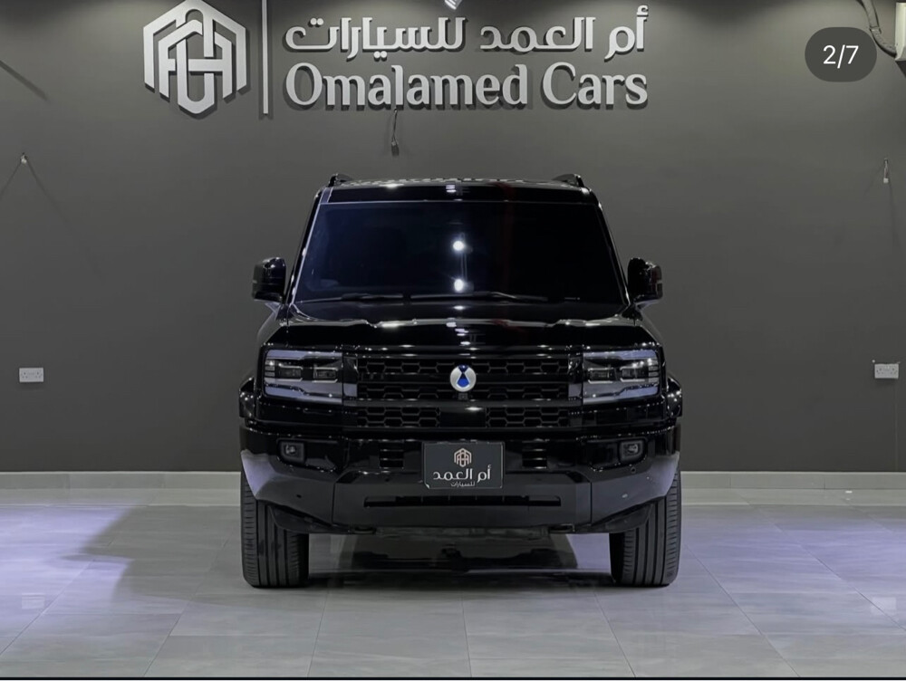 بي واي دي دينزا - 2