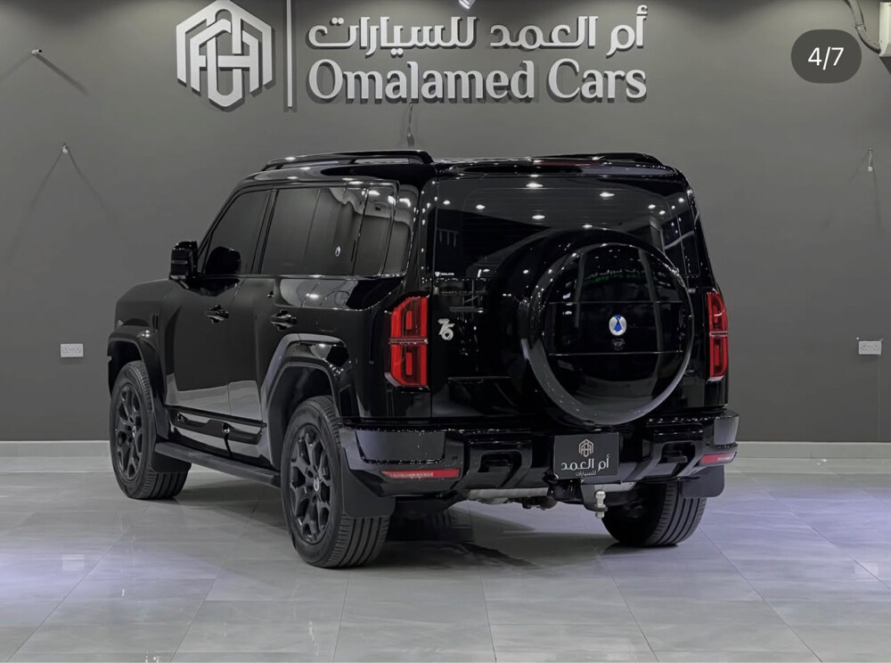 بي واي دي دينزا - 4