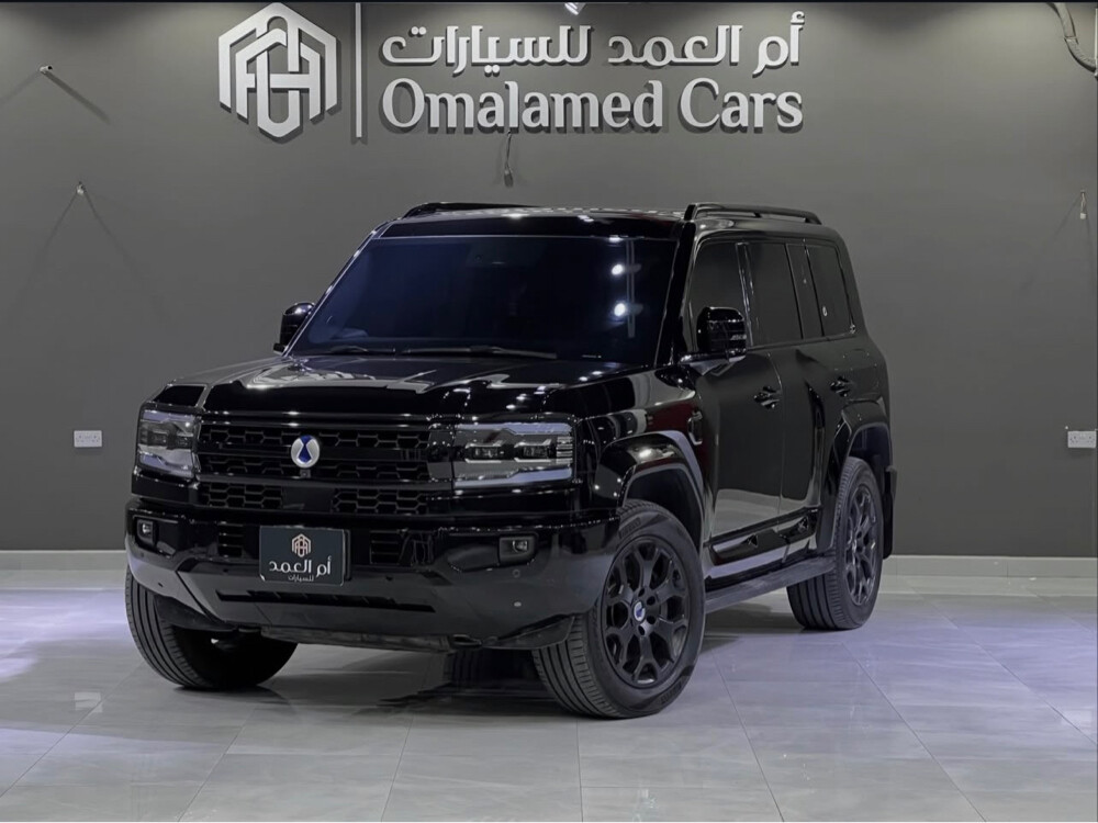بي واي دي دينزا - 1