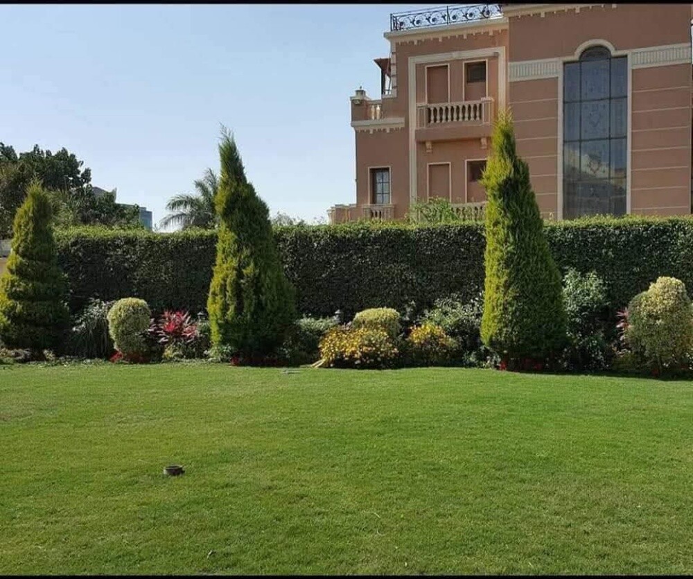 مزارع زراعة الفيلا والبيوت وترتيب - 2