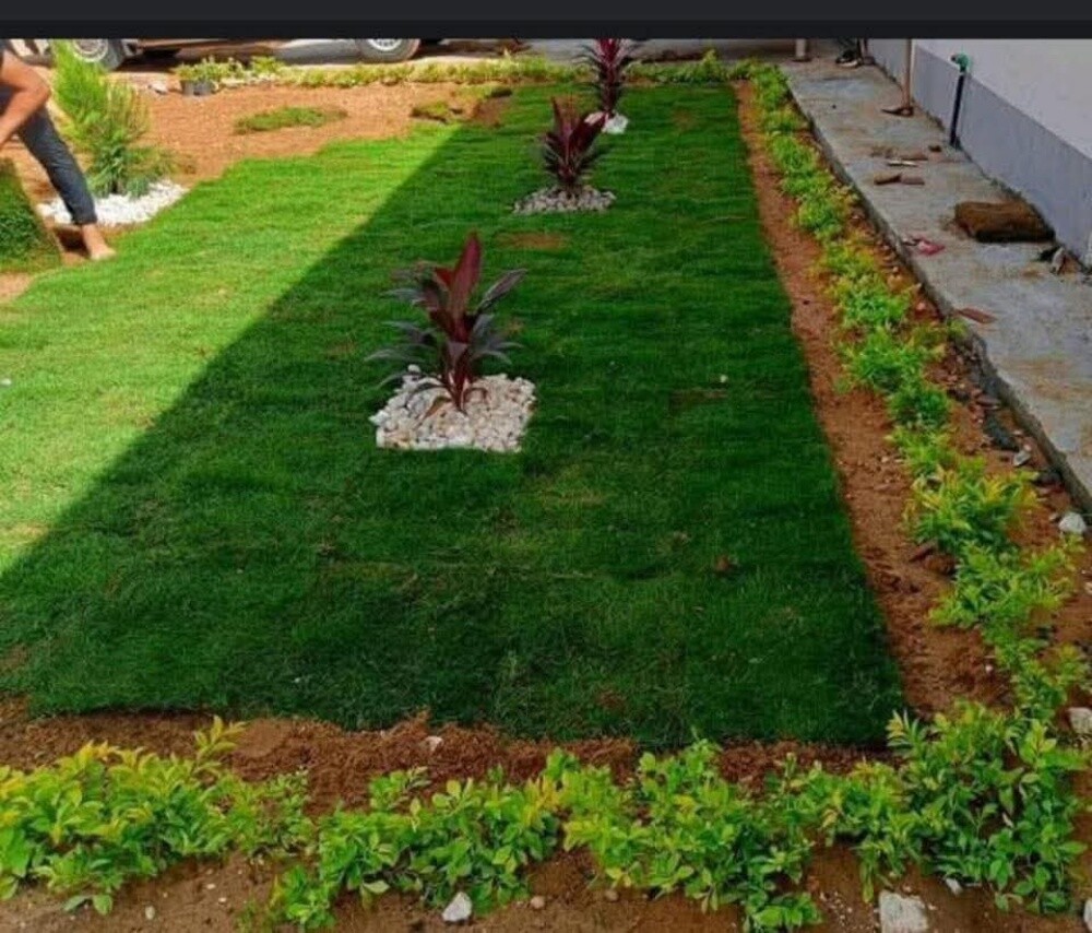 مزارع زراعة الفيلا والبيوت وترتيب - 3