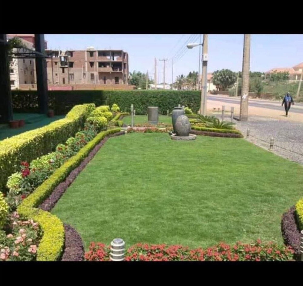 مزارع زراعة الفيلا والبيوت وترتيب - 1