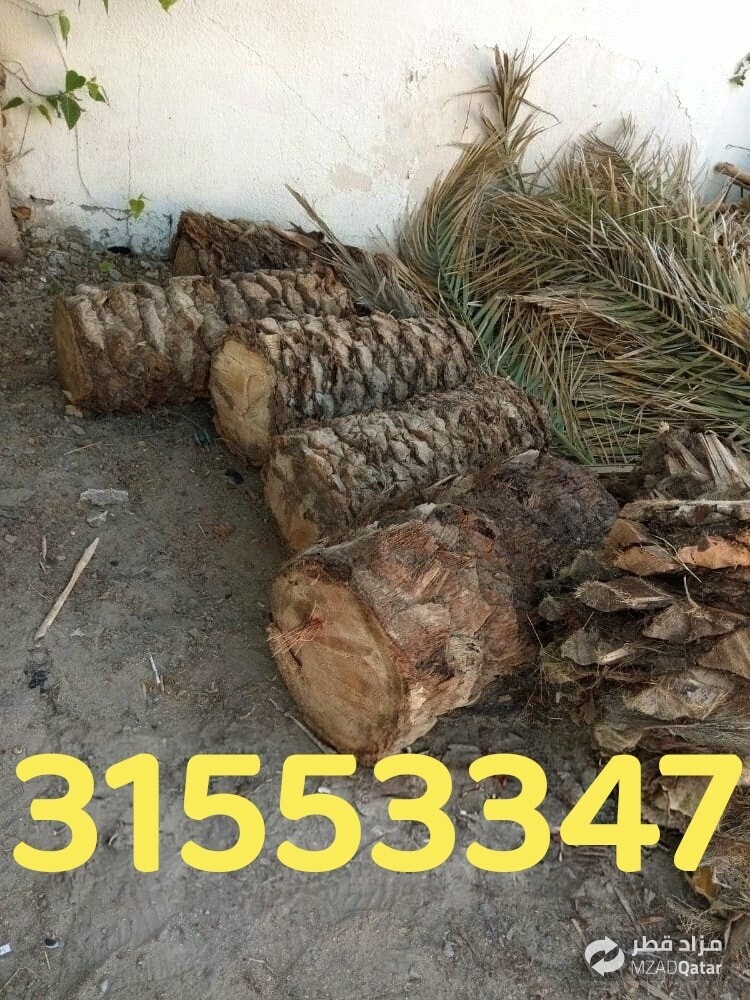 قص وتقطيع الأشجار - 1