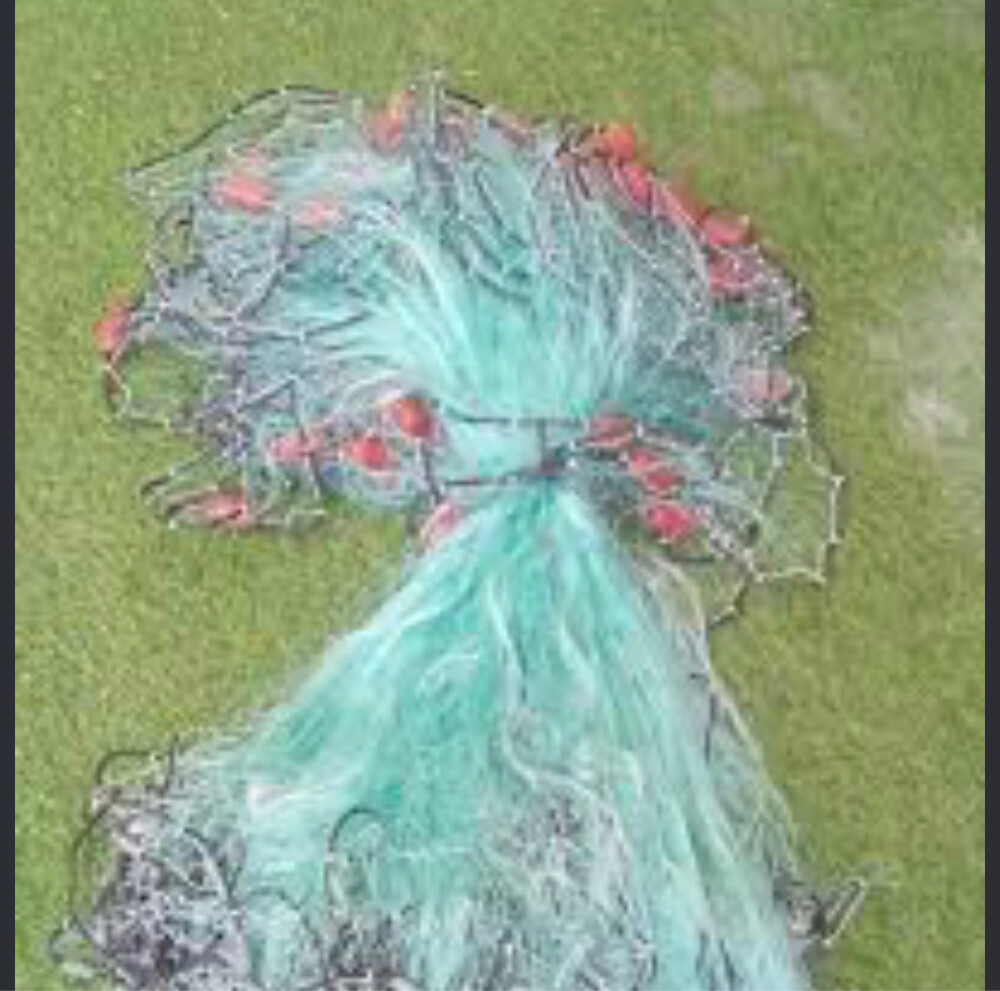 net - 1