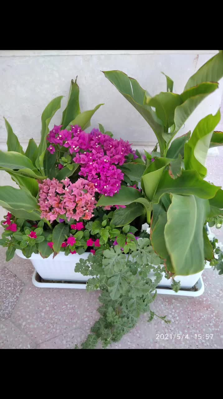 مزارع - 1