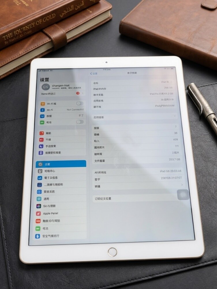 ipad pro 12.9 256GB - 1