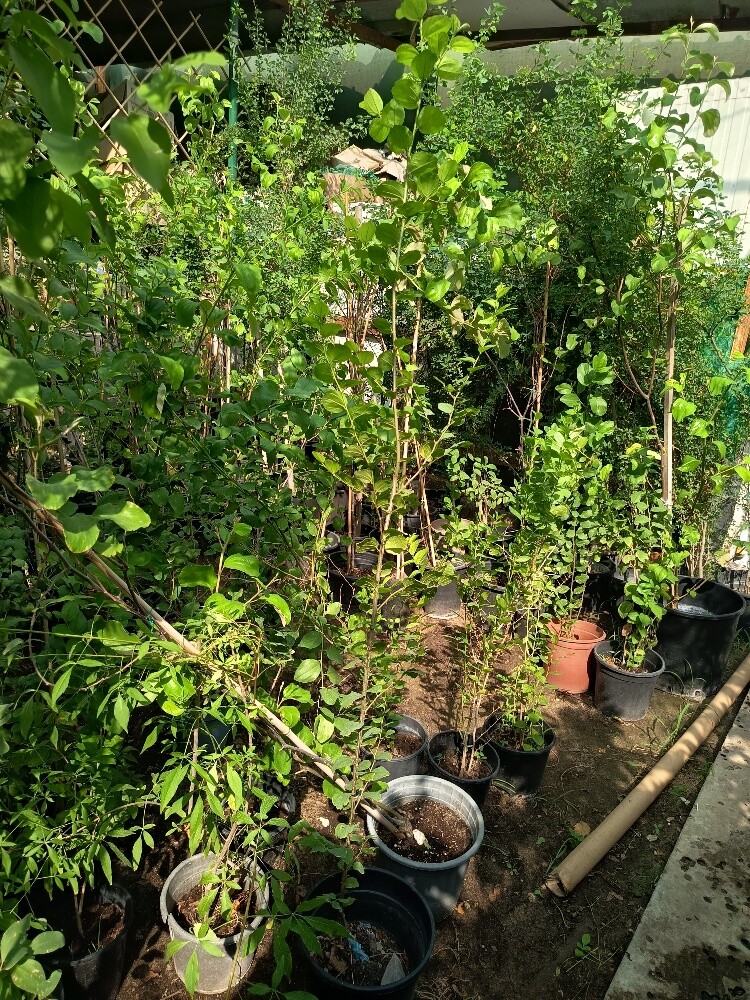 مهندس زراعي - 2