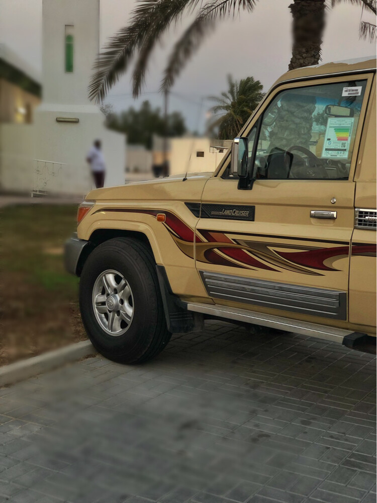 شاص فطيمي  - 6