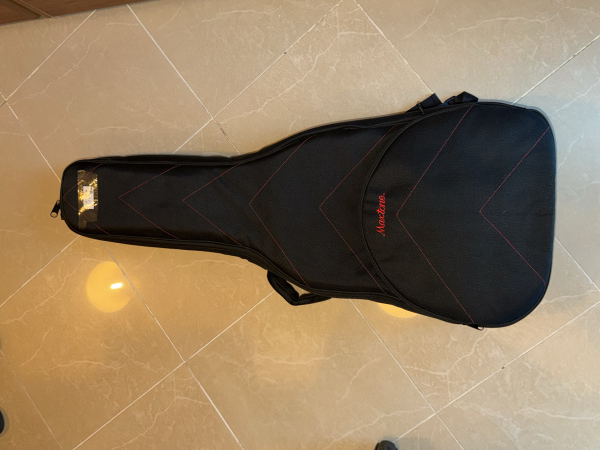 Guitar Bag - 1