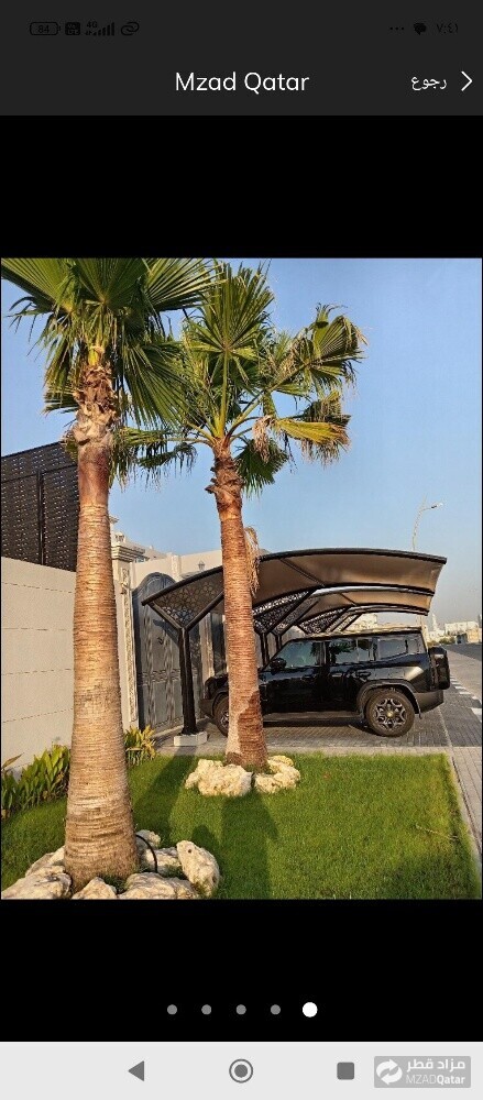 نخيل وشنطونيا خدمات - 1