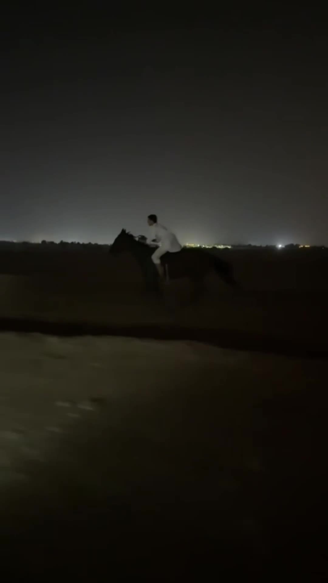 فحل عربي عمره 6 شرط سليم - 1
