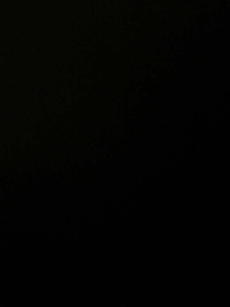 Cat wanted for adoption - 1