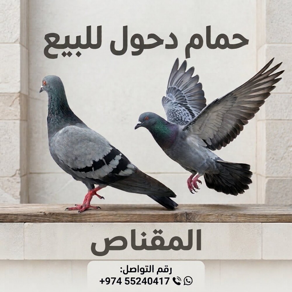 حمام دحول - 1