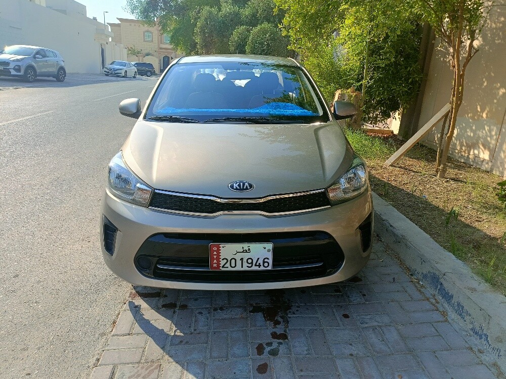 Kiya piggas - 2