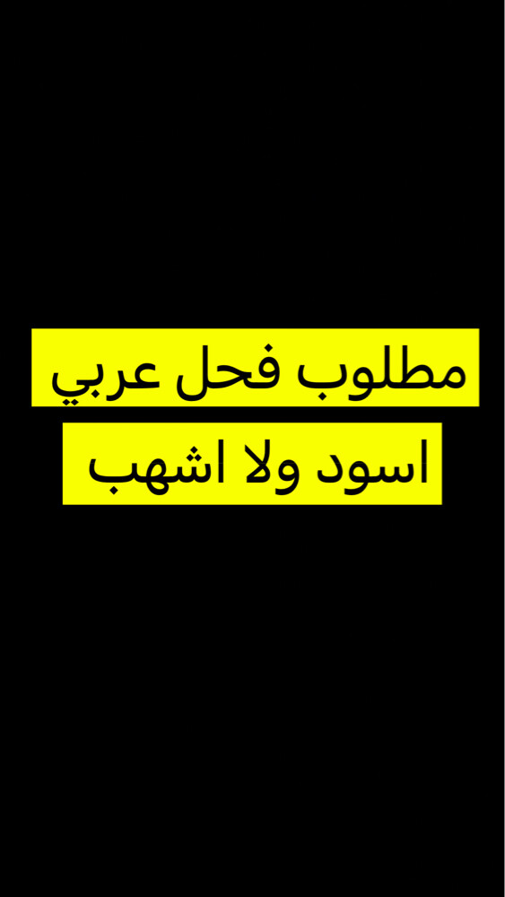 مطلوب فحل عربي اسود ولا اشهب - 1