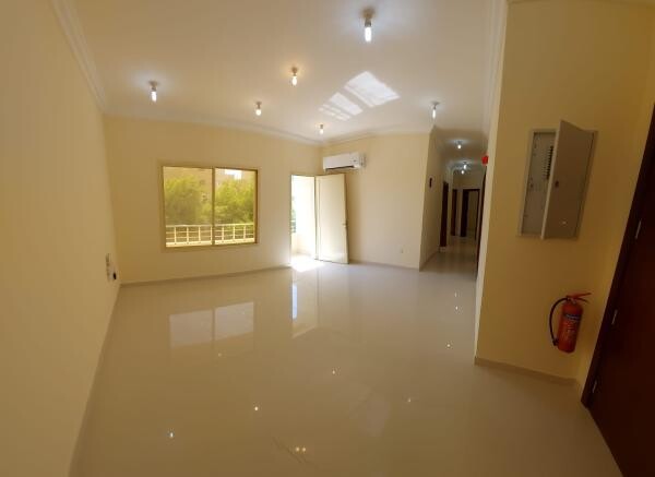 Apartments for rent in building 3bh - 2