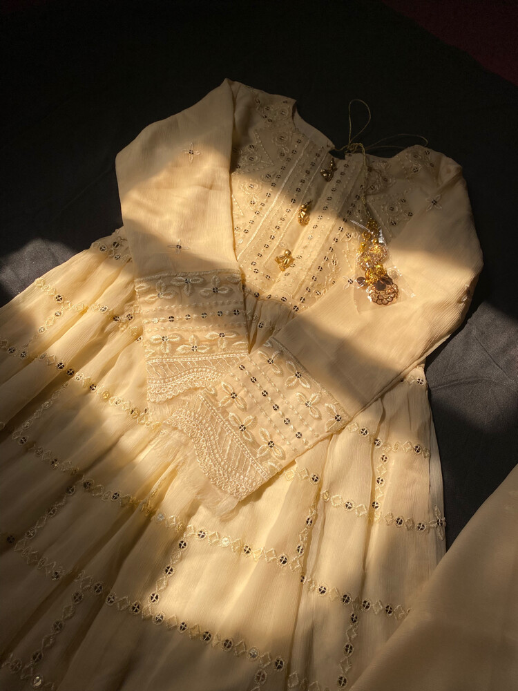 Pakistani party dress - 1