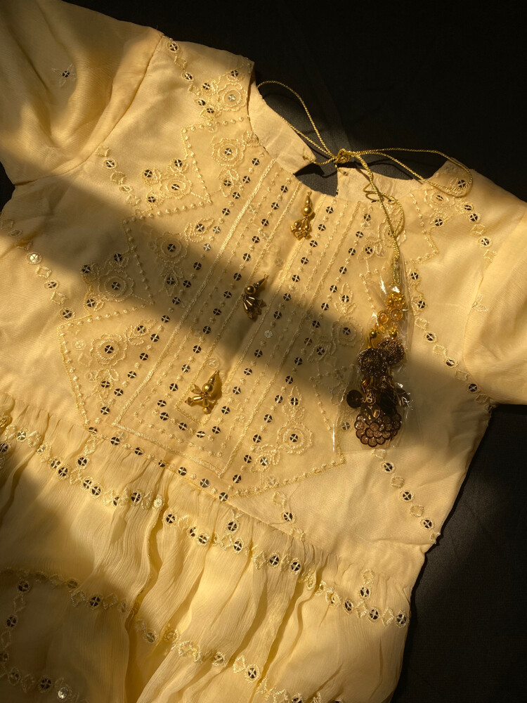 Pakistani party dress - 3