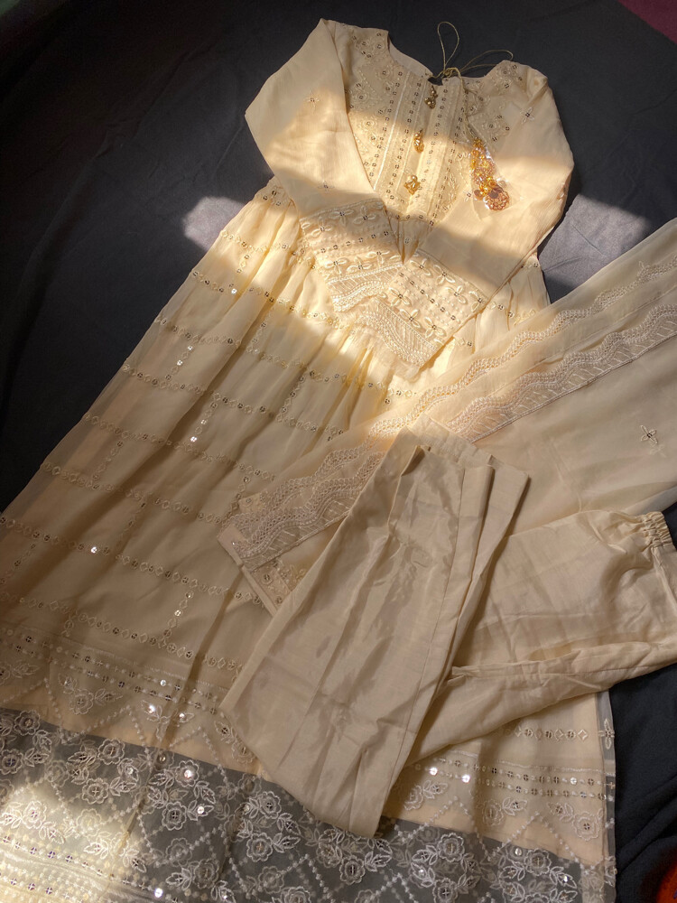 Pakistani party dress - 5