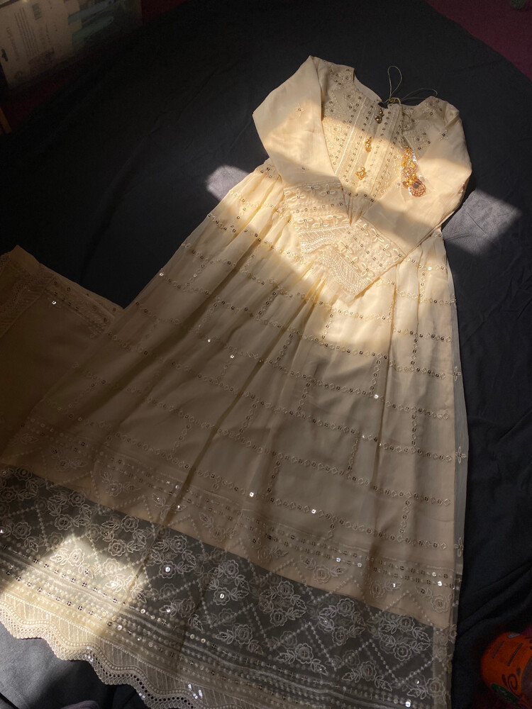 Pakistani party dress - 4