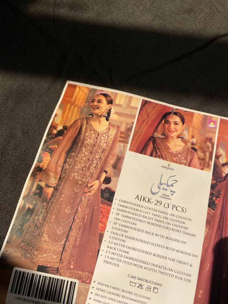 Pakistani party dress - 2