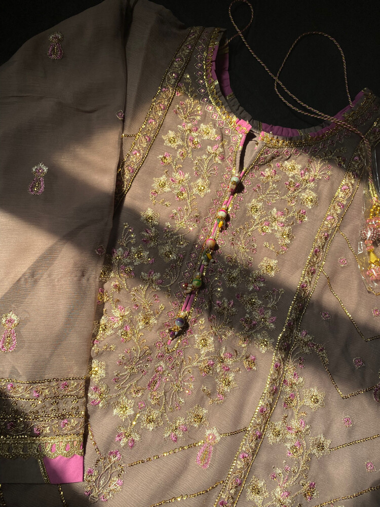 Pakistani party dress - 3