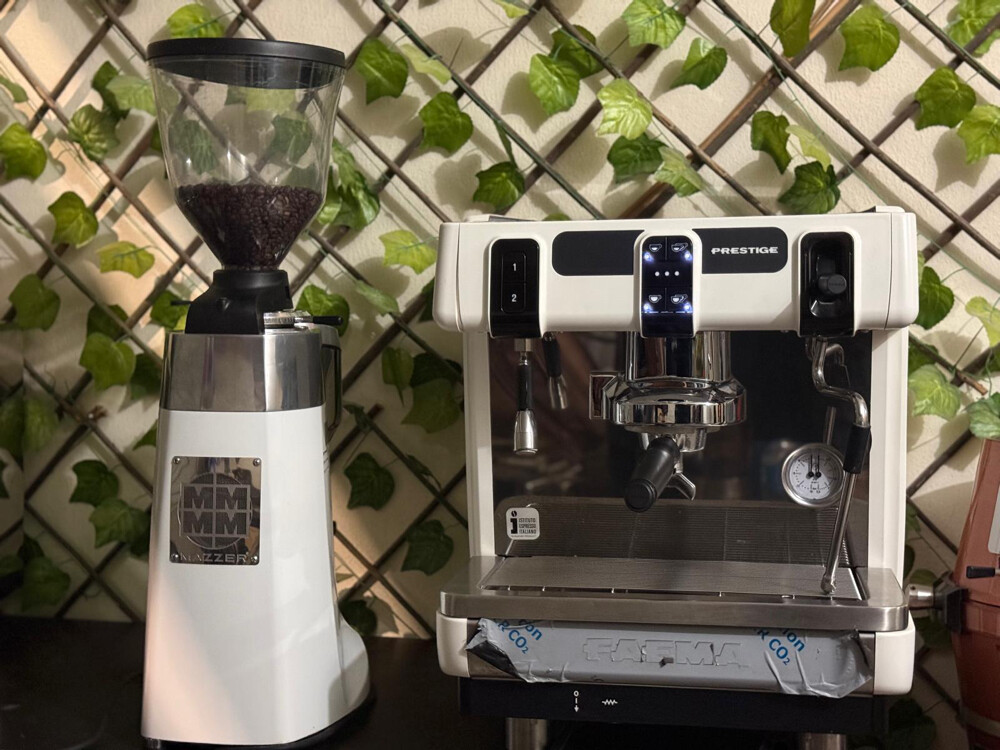 Faema Prestige iTaly Professional - 3