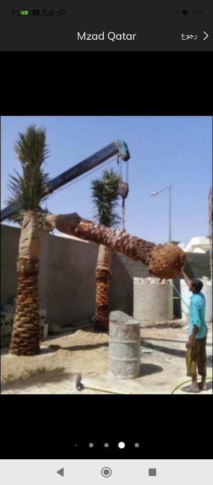 نخيل خدمات ونقل النخيل - 1
