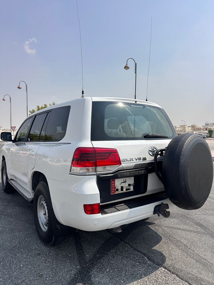 ١٦ جكسار ديزل صبخ وكاله  - 3