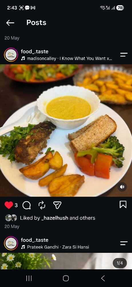 salad,pizza,soup,biriyani - 11