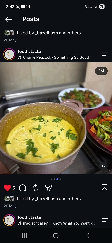 salad,pizza,soup,biriyani - 13