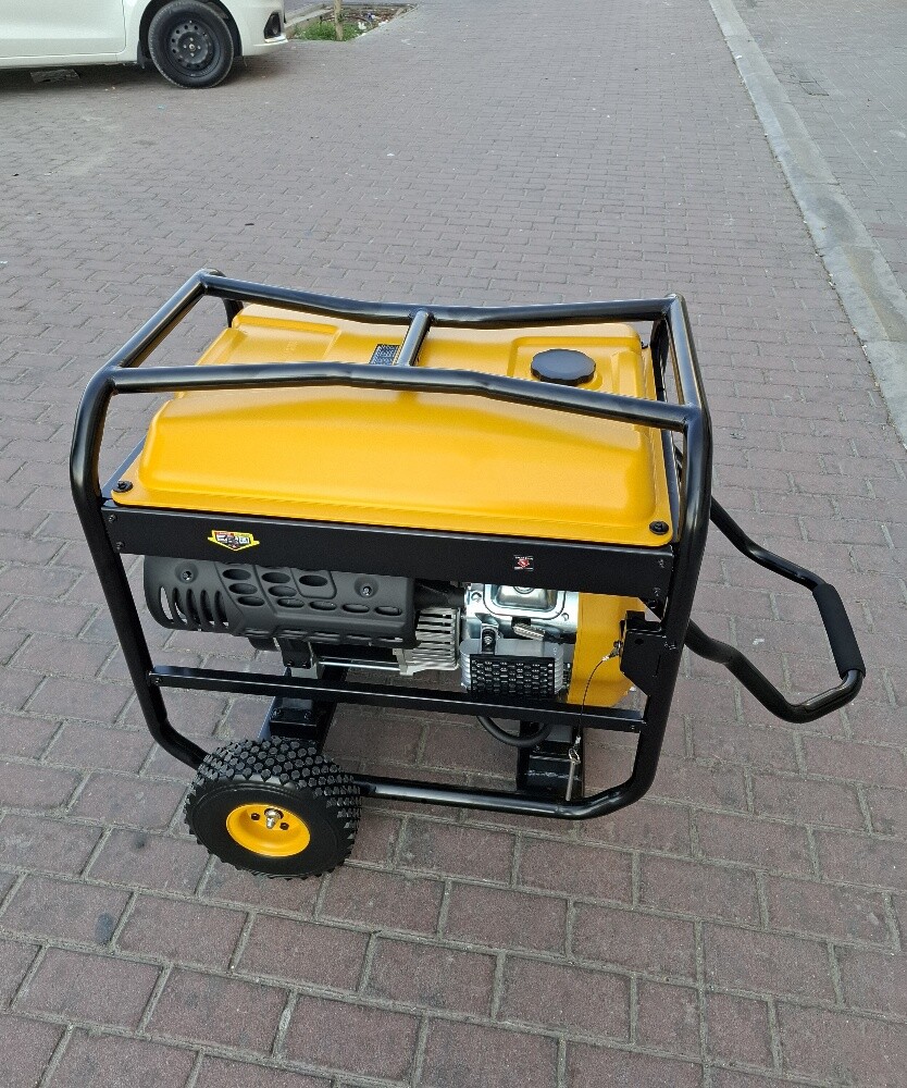 Generator Petrol 12kva-220V - 8