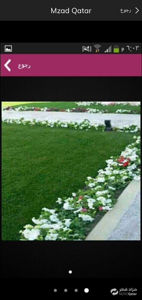 قص العشب وعنايه الحدائق - 4