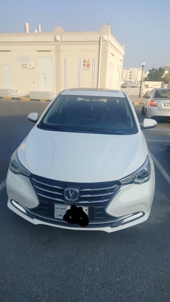 تشانغان ألسفين - 3