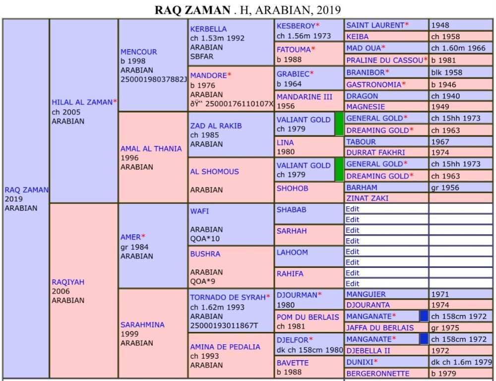 راق الزمان - 1